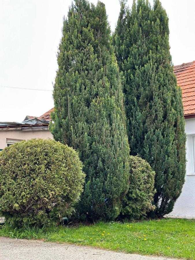 Apartmani Emily & Jully Nikšić Bagian luar foto